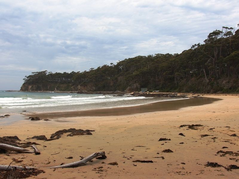 204 George Bass Drive, Lilli Pilli NSW 2536