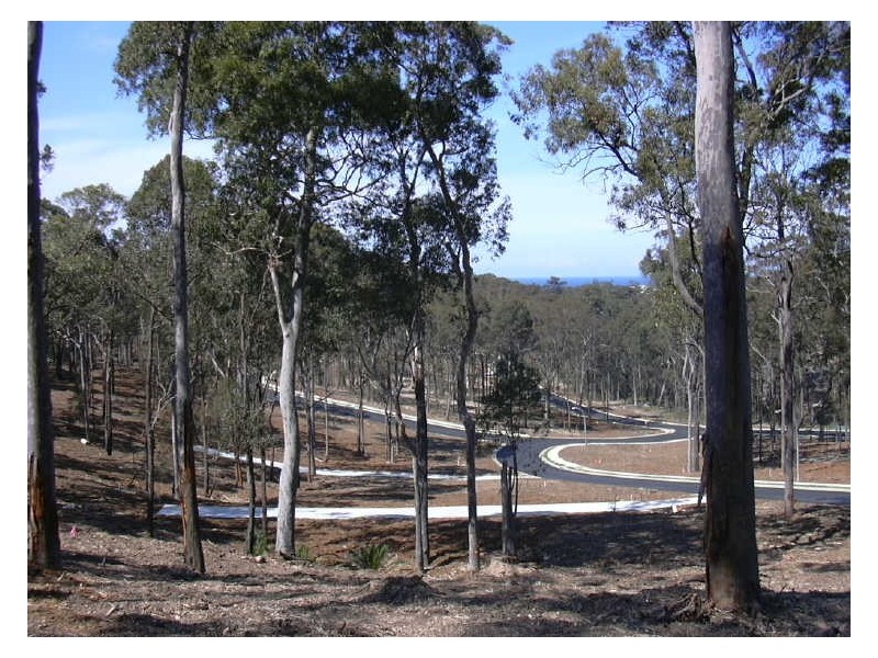 Lot 114 Currawong Crescent, Malua Bay NSW 2536