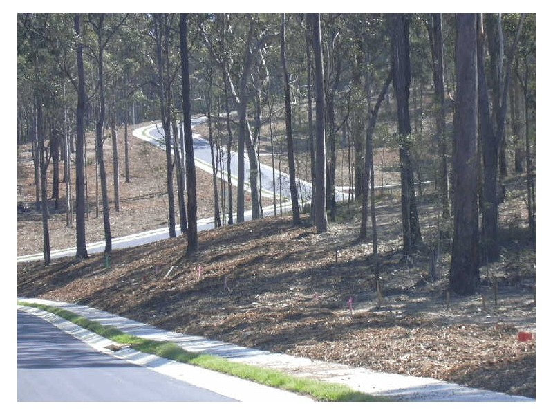 Lot 114 Currawong Crescent, Malua Bay NSW 2536