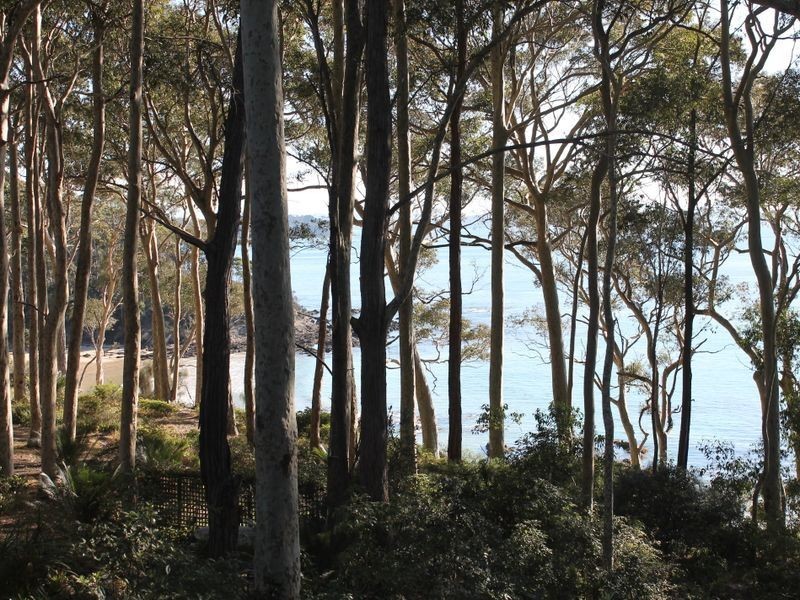 16 Lilli Pilli Road, Lilli Pilli NSW 2536