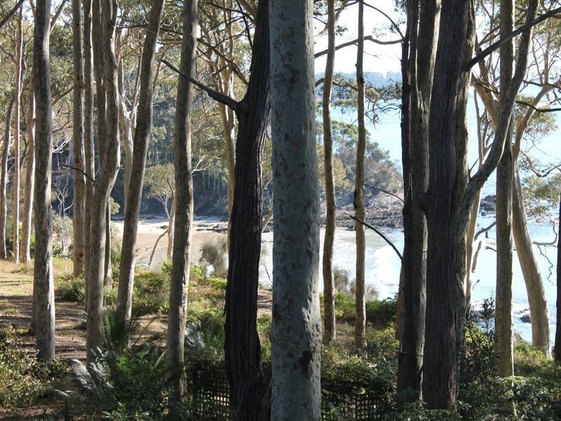 16 Lilli Pilli Road, Lilli Pilli NSW 2536