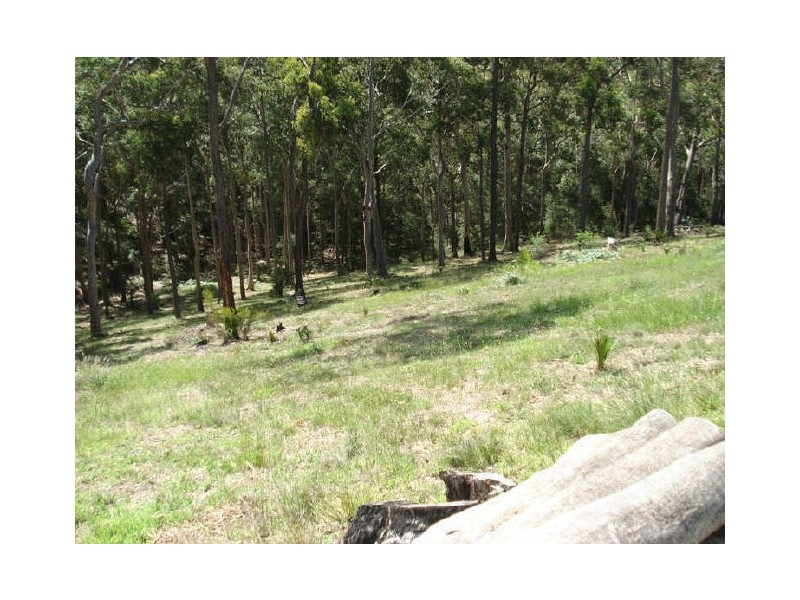 7 Roseby Drive, Rosedale NSW 2536