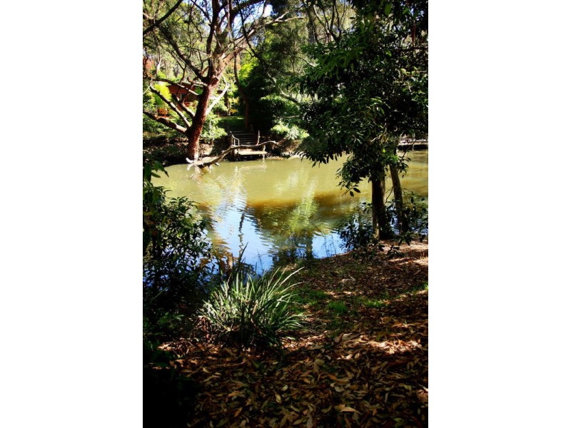 20 Rosedale Parade, Rosedale NSW 2536