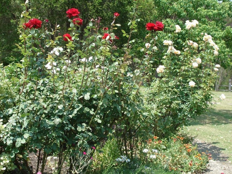 Highway Fr Princes Highway (JEREMADRA), Mogo NSW 2536