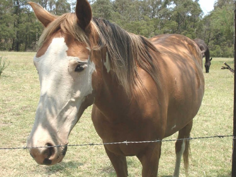 Highway Fr Princes Highway (JEREMADRA), Mogo NSW 2536