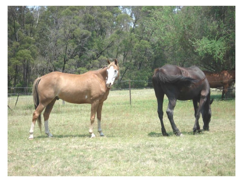 Highway Fr Princes Highway (JEREMADRA), Mogo NSW 2536