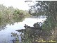 9 Waterfront Close, Mossy Point NSW 2537