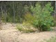 38 Bunderra Circuit, Lilli Pilli NSW 2536