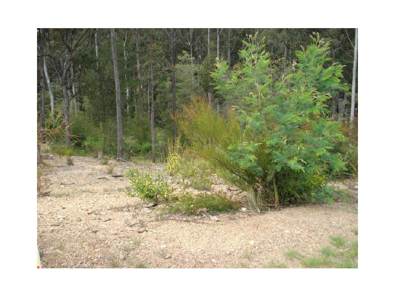 38 Bunderra Circuit, Lilli Pilli NSW 2536