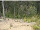 38 Bunderra Circuit, Lilli Pilli NSW 2536