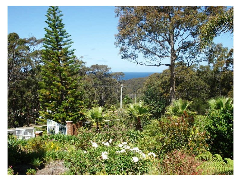 3 Nicholas Grove, Rosedale NSW 2536