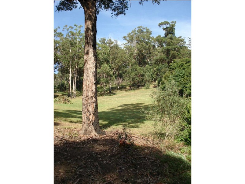 3 Figtree Close, Surf Beach NSW 2536