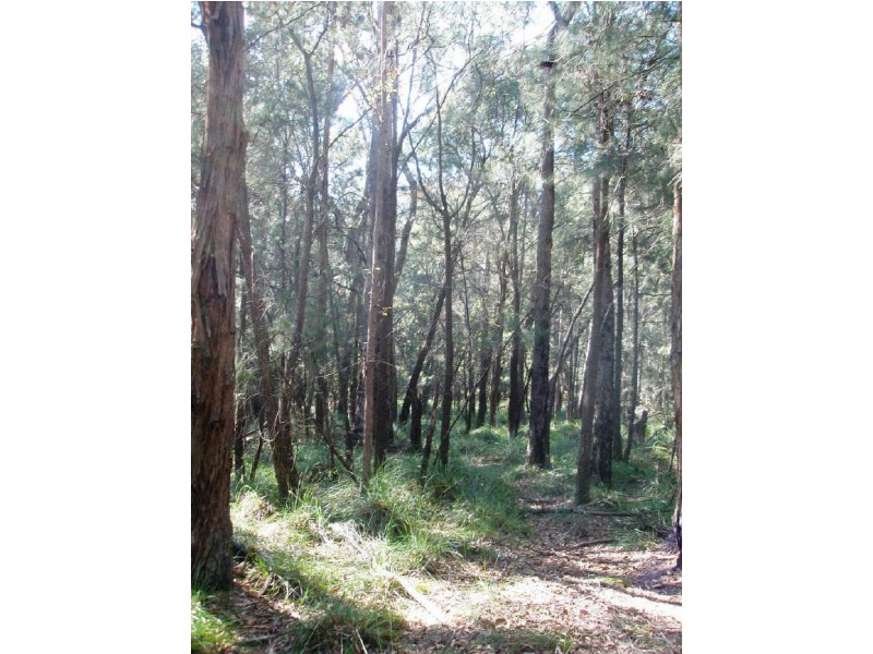 Lot 24 Jeremadra Road, Mogo NSW 2536