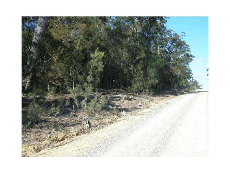 Lot 24 Jeremadra Road, Mogo NSW 2536