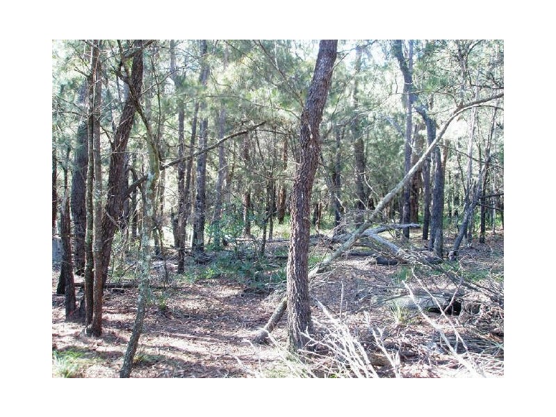 Lot 24 Jeremadra Road, Mogo NSW 2536
