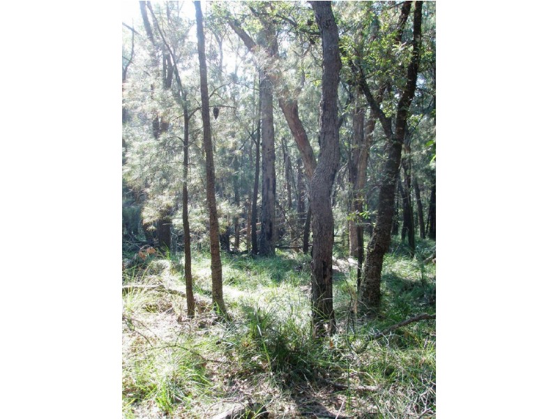 Lot 24 Jeremadra Road, Mogo NSW 2536