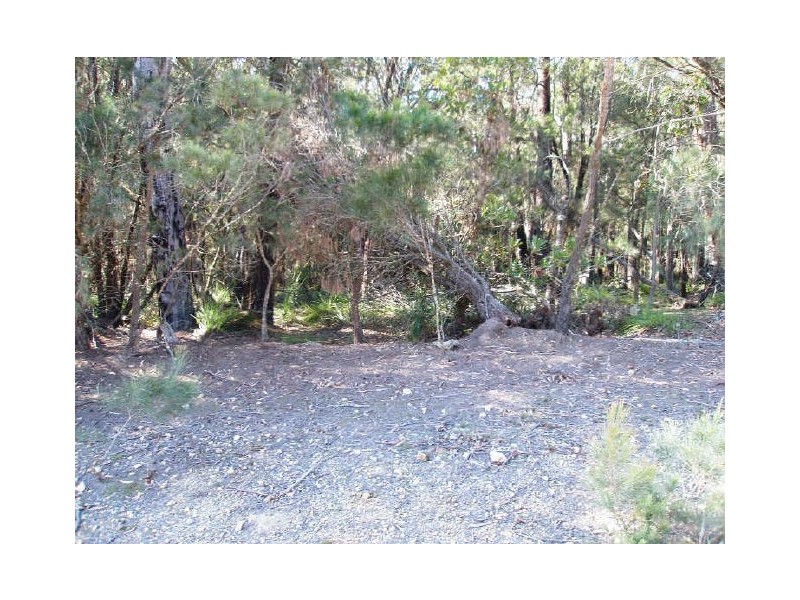 Lot 24 Jeremadra Road, Mogo NSW 2536