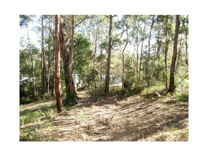 2 Bridgeview Road, Nelligen NSW 2536