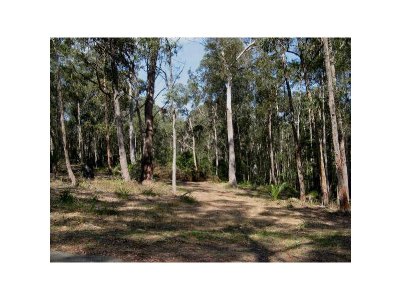 2 Bridgeview Road, Nelligen NSW 2536