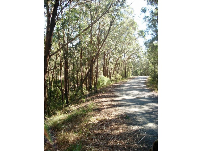 2 Bridgeview Road, Nelligen NSW 2536