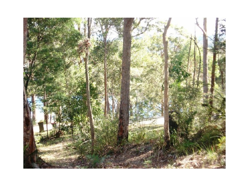 2 Bridgeview Road, Nelligen NSW 2536