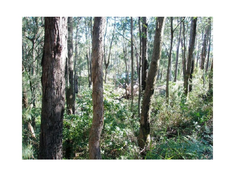 2 Bridgeview Road, Nelligen NSW 2536