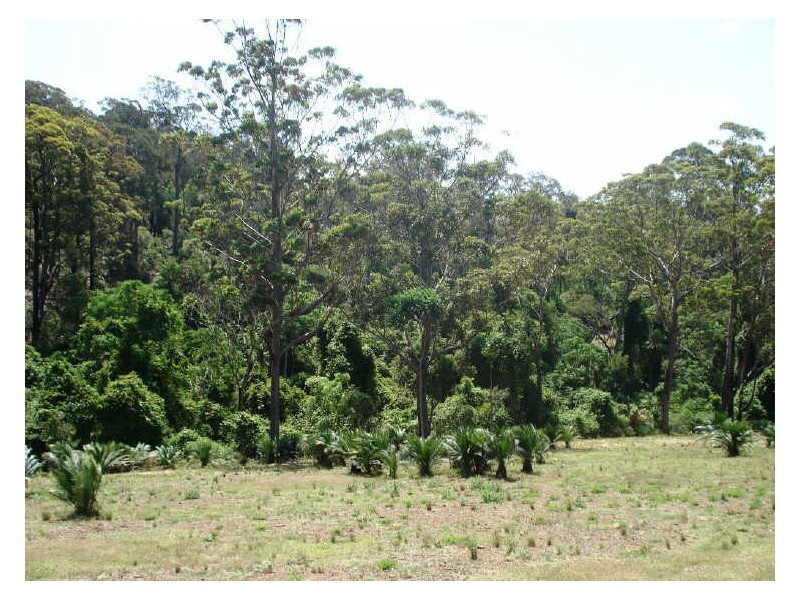 Lot 25 Highland Avenue, Surf Beach NSW 2536