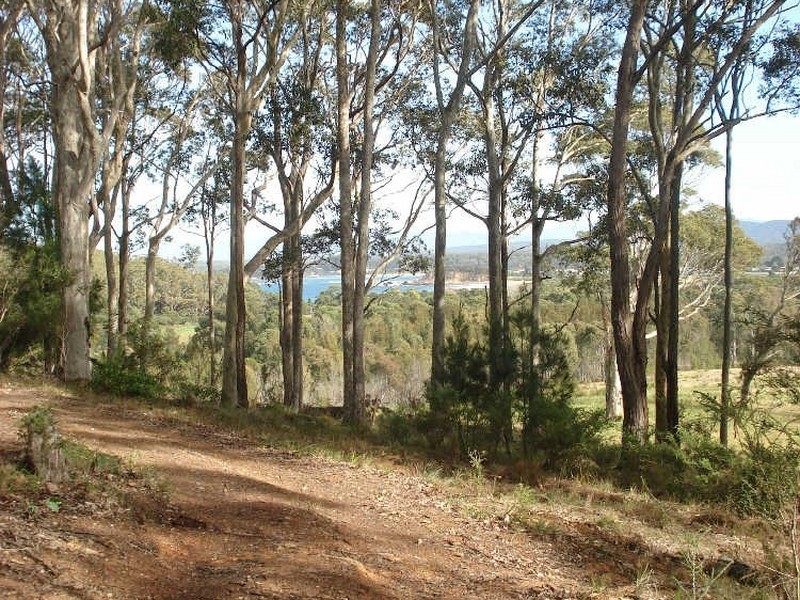 21 Roseby Drive, Rosedale NSW 2536