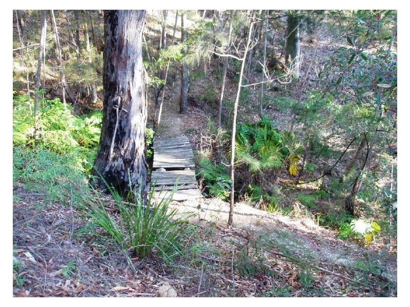 21 Roseby Drive, Rosedale NSW 2536