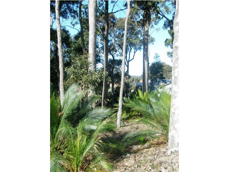 Lot 165 Warragai Place, Malua Bay NSW 2536