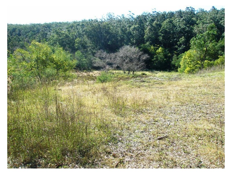 Kings Highway, Nelligen NSW 2536