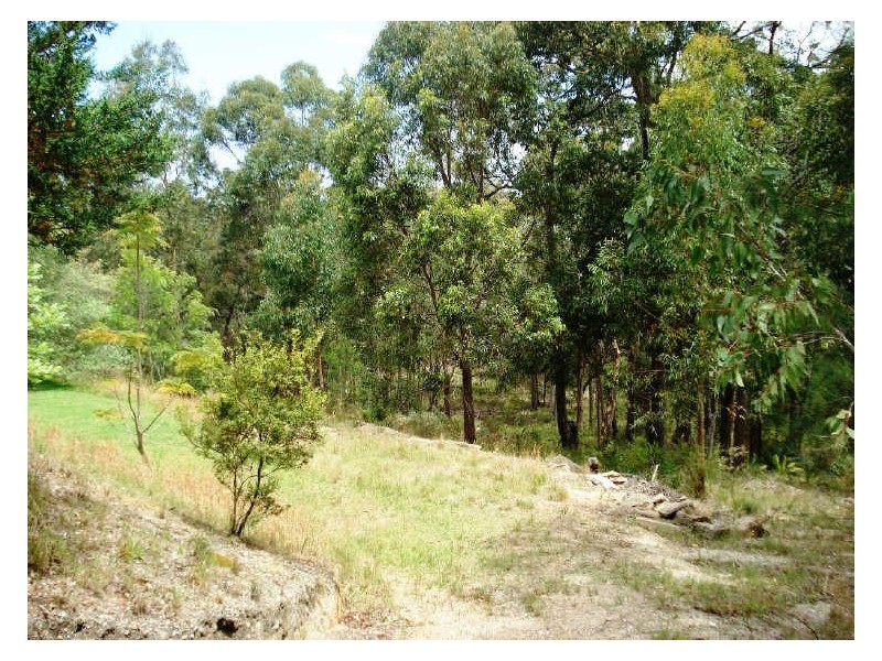 3a Innes Grove, Rosedale NSW 2536
