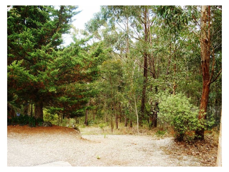 3a Innes Grove, Rosedale NSW 2536