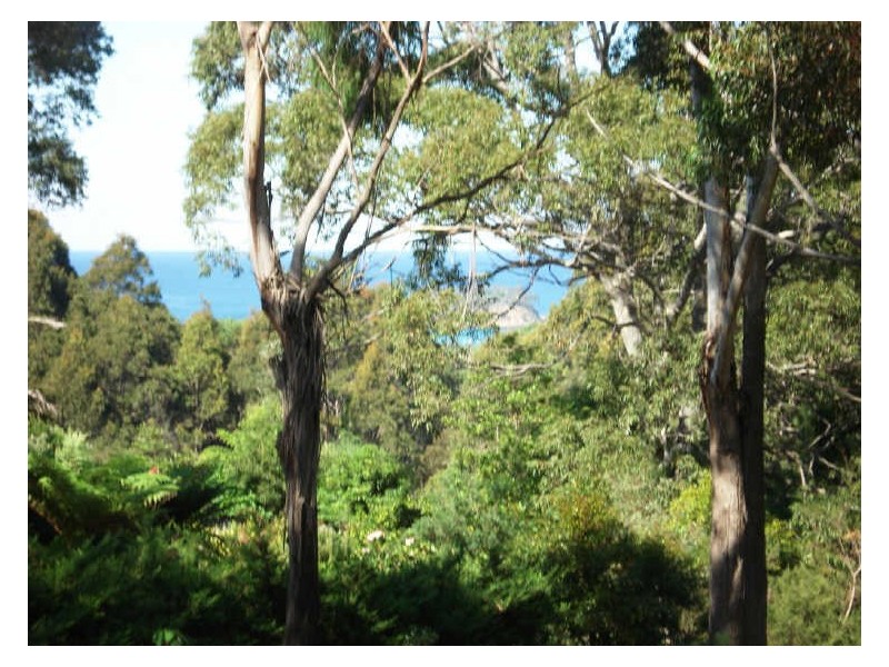 5 Barlings Drive, Tomakin NSW 2537