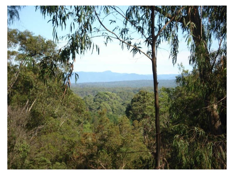 5 Barlings Drive, Tomakin NSW 2537