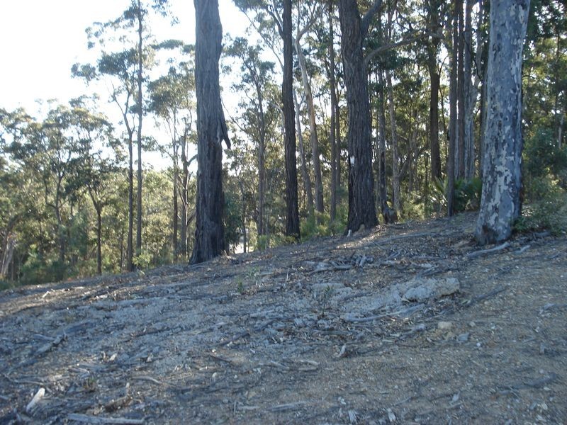 66 Bellbird Drive, Malua Bay NSW 2536