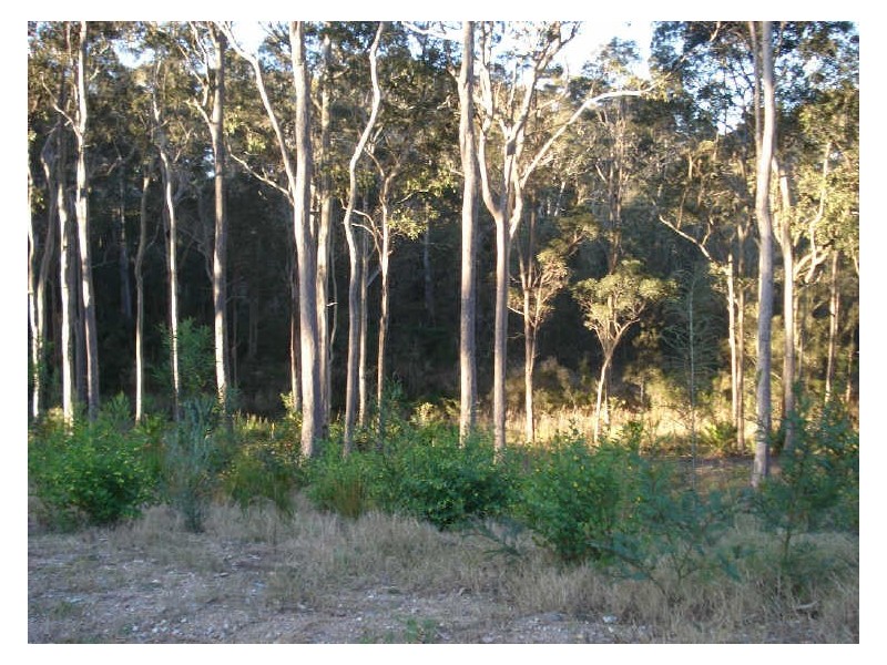 13 Banksia Grove, Malua Bay NSW 2536