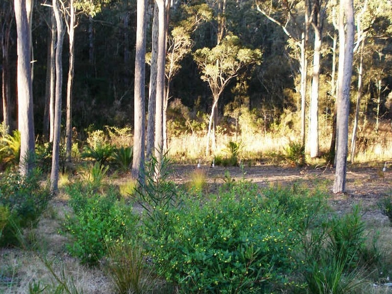 13 Banksia Grove, Malua Bay NSW 2536