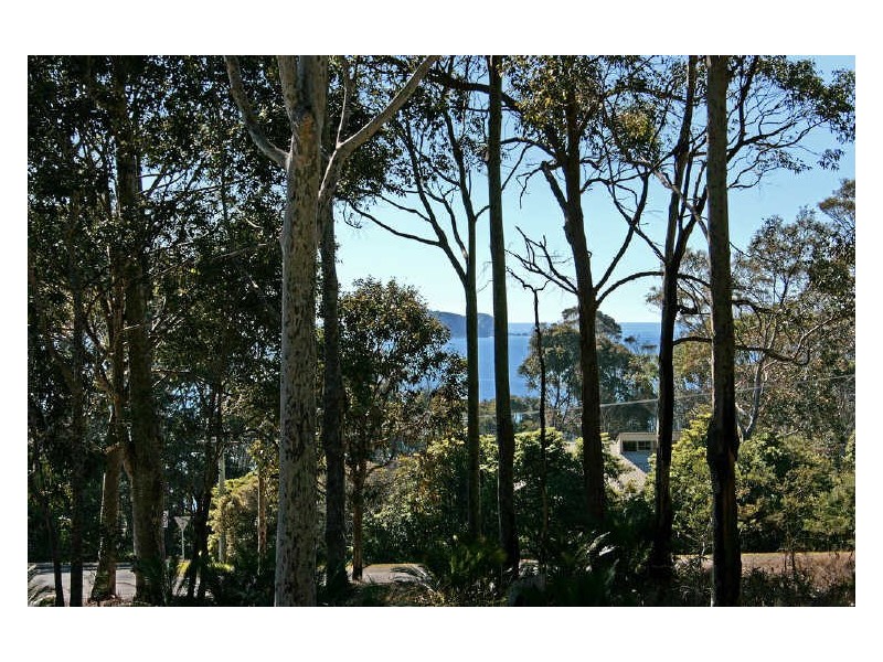 18 Tinnara Close, Lilli Pilli NSW 2536