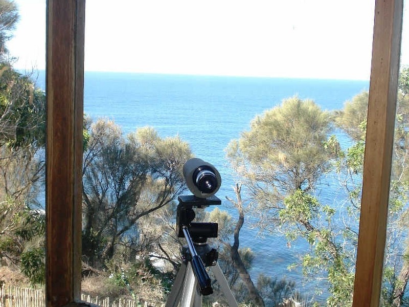 10 Karoo Cres, Malua Bay NSW 2536