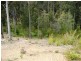 38 Bunderra Circuit, Lilli Pilli NSW 2536