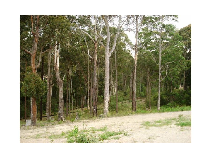 27 Carramar Drive, Lilli Pilli NSW 2536