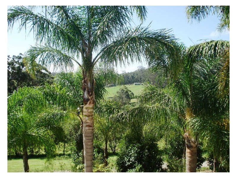 35 McBride Close, Malua Bay NSW 2536