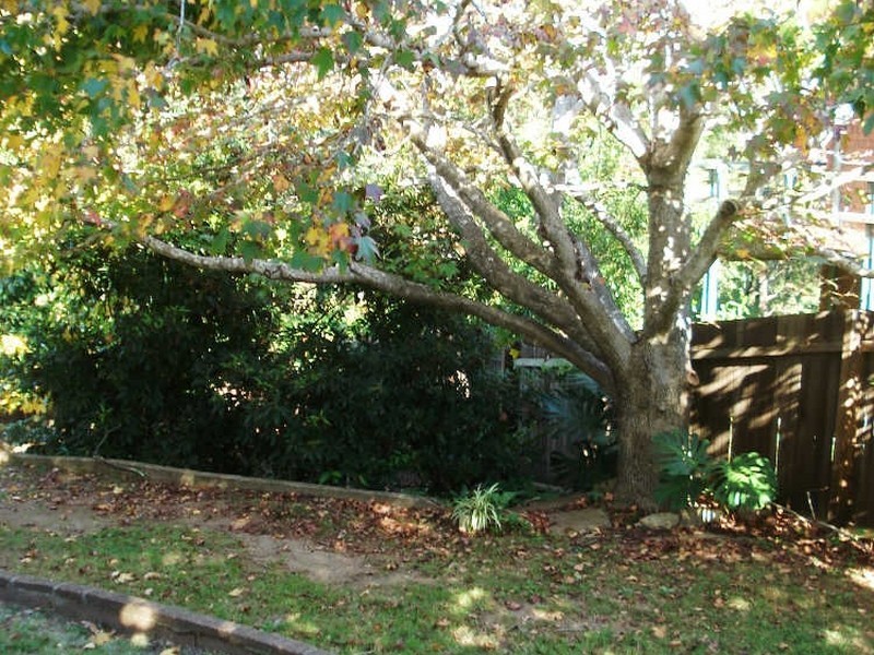 1 Nioka Avenue, Malua Bay NSW 2536