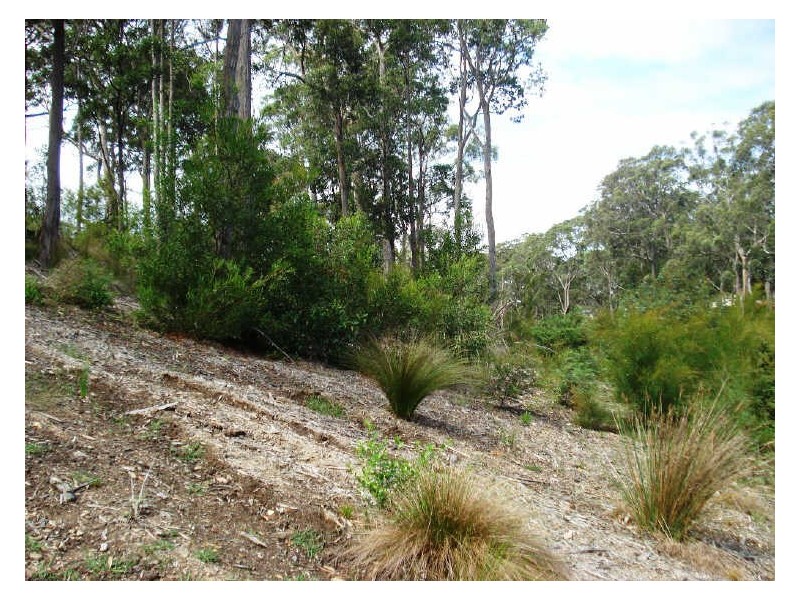 16 Bellbird Drive, Malua Bay NSW 2536