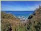 29 Burri Point Road, Guerilla Bay NSW 2536