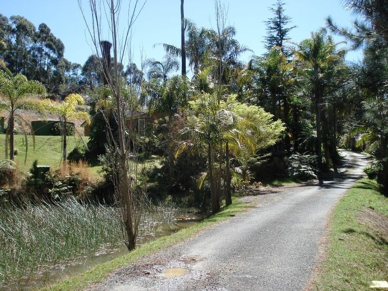 62 Grandfathers Gully Road, Lilli Pilli NSW 2536