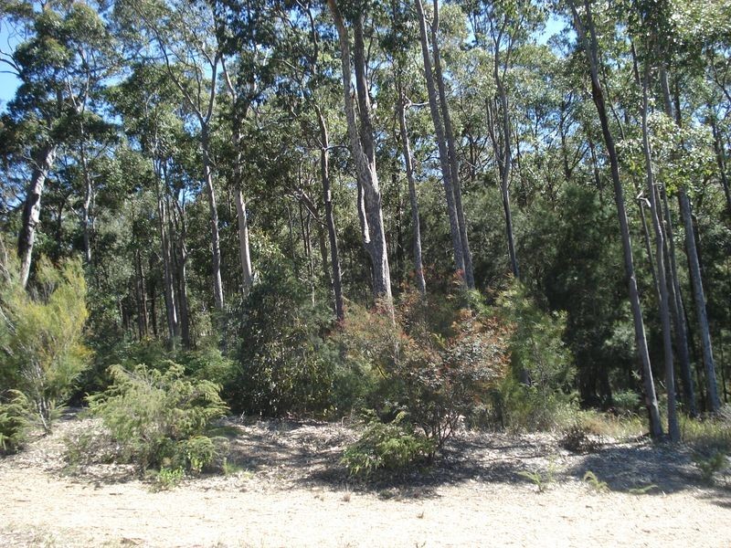 4 Bellbird Drive, Malua Bay NSW 2536