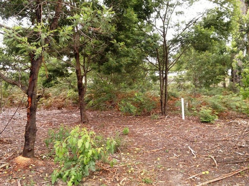 16 Caitlin Crescent, Broulee NSW 2537
