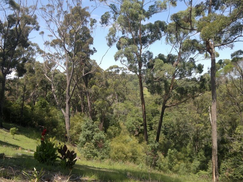 24 Blackbutt Lane, Malua Bay NSW 2536